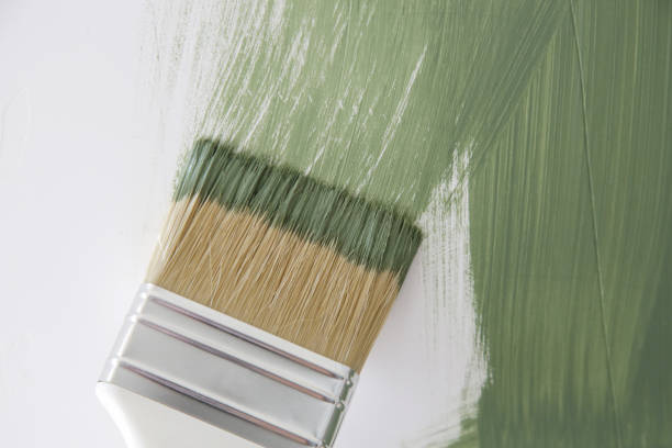 Best Mold Documentation for Insurance Claims  in Seven Hills, OH