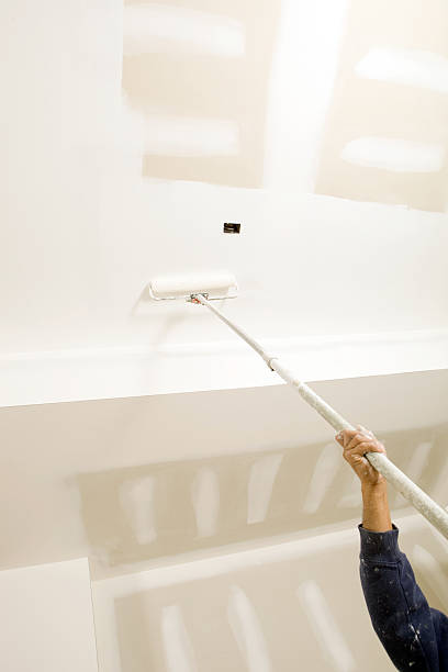 Biohazard Mold Removal in Seven Hills, OH