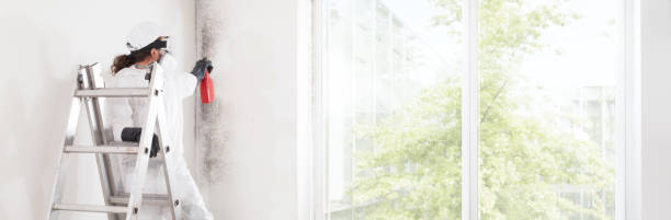 Best Environmental Consulting for Mold Prevention  in Seven Hills, OH
